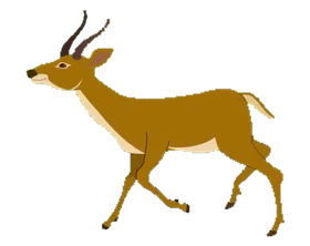Animated Forest Stag walking from right to left across top of box