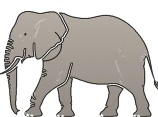 Animated Asian Elephant silhouette walking from right to left across top of box